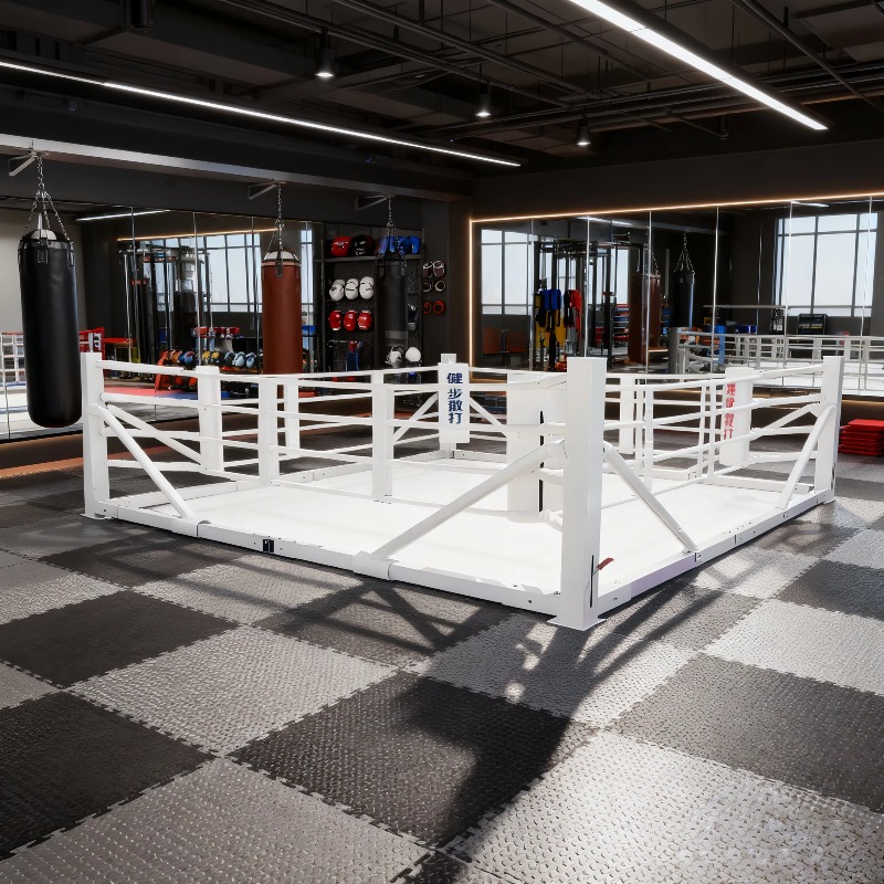 Foldable Gym Boxing Ring Set S - Home Gym Equipment Set ulasan dan harga